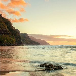 Meet your Posher, Lj